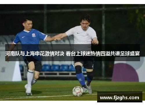 河南队与上海申花激情对决 看台上球迷热情四溢共谱足球盛宴