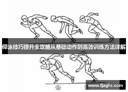 仰泳技巧提升全攻略从基础动作到高效训练方法详解