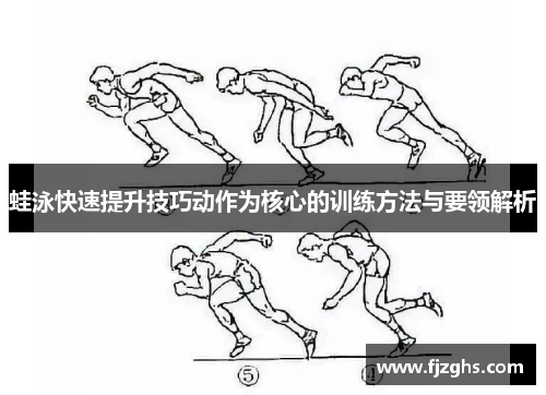 蛙泳快速提升技巧动作为核心的训练方法与要领解析