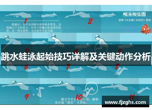 跳水蛙泳起始技巧详解及关键动作分析